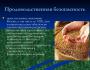 ЕСТЬ ЛИ У РОССИИ ПРОДОВОЛЬСТВЕННАЯ БЕЗОПАСНОСТЬ? 